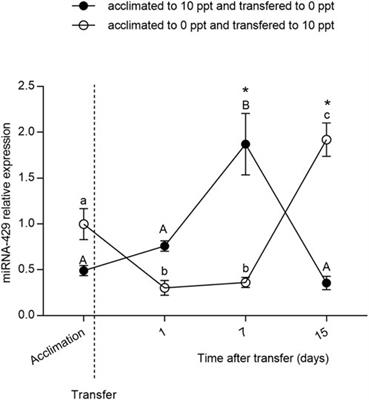 Modulation of miR-429 during osmotic stress in the silverside Odontesthes humensis